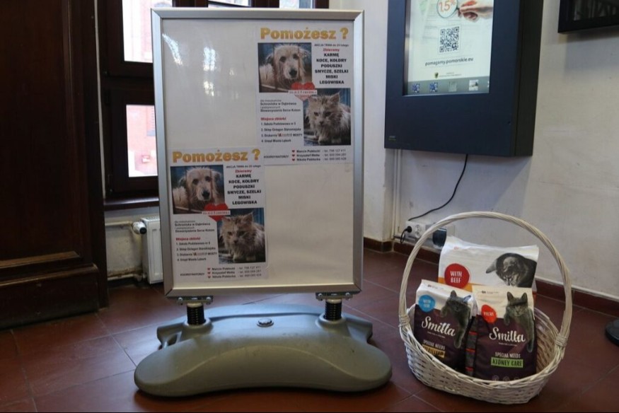 Lębork: Miasto zbiera karmę i koce dla schroniska