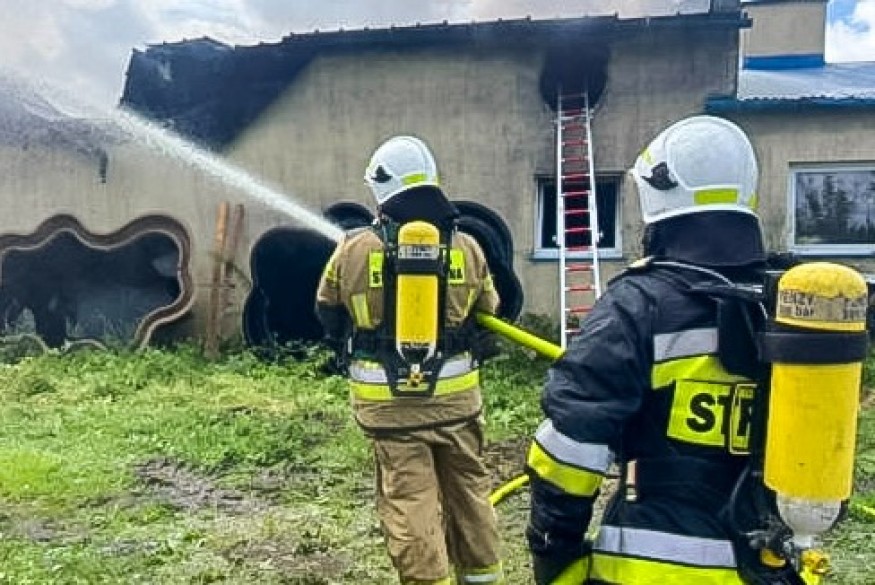 Pożar hali w Skorzewie. W akcji 20 zastępów i chemicy z Gdyni