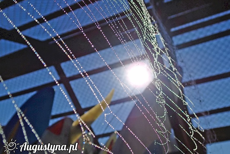 27 sierpnia: Bryza ze wschodu, rosą nanizane niebo i półwyspowy luksus spokoju